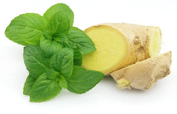 Ginger and mint in the ingredients